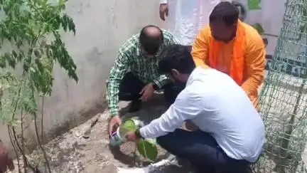 तमकुही राज: तमकुहीराज नगर पंचायत गेट पर अपर निर्देशक नगर निकाय ने किया पौधरोपण, बताई सरकार की प्राथमिकता