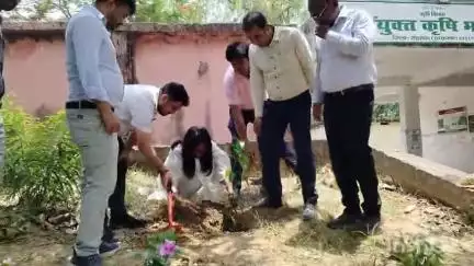 सासाराम: सासाराम के कृषि विभाग के कैंपस में विश्व पर्यावरण दिवस के अवसर पर वृक्षारोपण कार्यक्रम का आयोजन किया गया