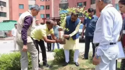 बुलढाणा: दिल्ली येथे जागतिक पर्यावरण दिनानिमित्त केंद्रीय राज्यमंत्री प्रतापराव जाधव यांच्या हस्ते वृक्षारोपण