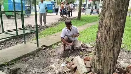দিনহাটা ২: বিশ্ব পরিবেশ দিবস উপলক্ষ্যে দিনহাটা 2 নম্বর ব্লকে চারা গাছ রোপণ কর্মসূচির আয়োজন, উপস্থিত BDO সহ অন্যরা