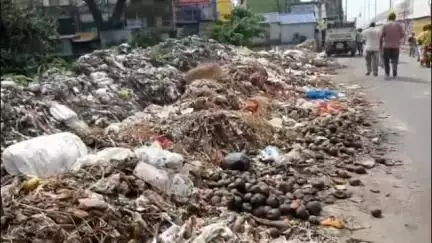 শান্তিপুর: ফুলিয়ায় 12 নম্বর জাতীয় সড়কের পাশে জঞ্জালের স্তুপ, দুর্গন্ধে অতিষ্ট সাধারণ মানুষ #jansamasya