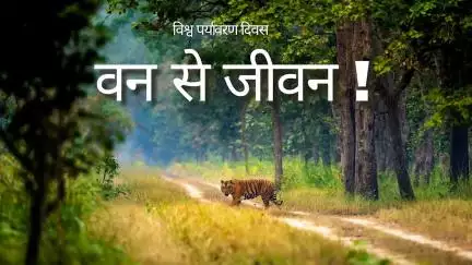 पर्यावरण संरक्षण हो या जलवायु संतुलन, भारत आज दुनिया को दिखा रहा है सतत विकास का मार्ग।
