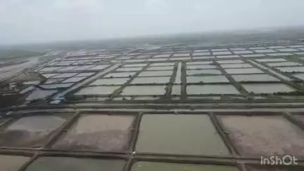 નવસારી: ગણદેવી તાલુકાના મેંધર-ભાટ ગામ ખાતે જીંગાના તળાવની આસપાસ કેનાલની જોગવાઈ છતાં જગ્યા ન છોડાઈ હોવાના આક્ષેપ #jansamasya