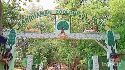 বর্ধমান ১: বিশ্ব পরিবেশ দিবস উদযাপন অনুষ্ঠানে বর্ধমান জুলজিক্যাল পার্কে তিনটি চিতাবাঘের নামকরণ করলেন মন্ত্রী স্বপন দেবনাথ