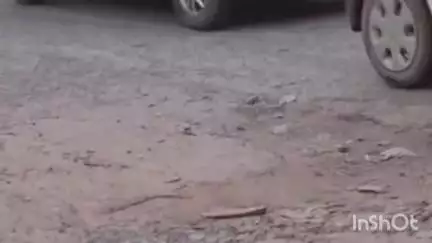 पलवल: किठवाड़ी पुल के पास रोड पूरी तरह से जर्जर, लोगों में आक्रोश, रोड बनवाने की कर रहे मांग#janasamshya