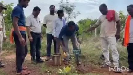 बस्तर: नगर पंचायत बस्तर के कृष्ण कुंज में पौधारोपण कार्यक्रम में जनप्रतिनिधि व अधिकारी-कर्मचारी शामिल हुए