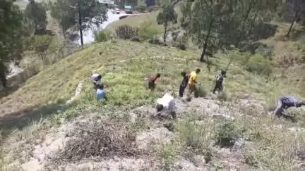 टिहरी: विश्व पर्यावरण दिवस पर वन विभाग ने ढिक्यारा ब्लॉक में किया पौधरोपण, SRT परिसर में पर्यावरण बचाओ को लेकर निकाली रैली