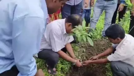 তেজপুৰ: বিশ্ব পৰিৱেশ দিৱস উপলক্ষে তেজপুৰ ভোমোৰাগুৰি আৰু বাটামাৰীত গছপুলি ৰোপণ কাৰ্যসূচীত বিধায়ক পৃথ্বিৰাজ ৰাভাৰ অংশগ্ৰহণ