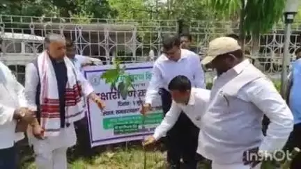 लातेहार: समाहरणालय प्रांगण में विश्व पर्यावरण दिवस पर सांसद और विधायकों सहित कई लोगों ने किया पौधारोपण
