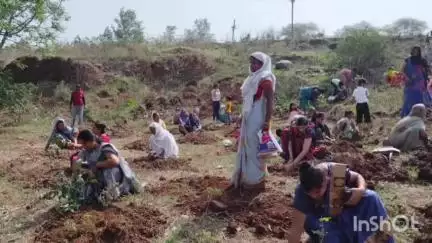 पीथमपुर: पीथमपुर नगर पालिका द्वारा विश्व पर्यावरण दिवस पर संजय जलाशय में पौधारोपण कार्यक्रम आयोजित