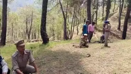 द्वाराहाट: विश्व पर्यावरण दिवस पर भूमि संरक्षण वन प्रभाग ने चंथरिया रेंज में रोपे फलदार और चारा पत्ती प्रजाति के पौधे