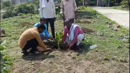 सेनगाव: पुसेगाव येथे जागतिक पर्यावरण दिन उत्साहात साजरा, विविध ठिकाणी करण्यात आले वृक्षारोपण