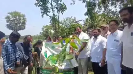 మురమళ్ళలో మొక్కలు నాటిన ఎమ్మెల్యే దాట్ల సుబ్బరాజు