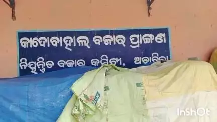 ଅତାବିରା: କାଦୋବାହାଲ ମାର୍କେଟରେ ଧାନଗଜା,ପ୍ରତିକ୍ରିୟା ରଖିଲେ ଚାଷୀ