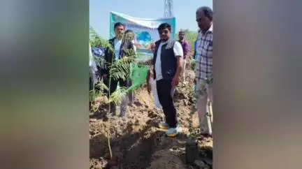 அருப்புக்கோட்டை: உலகச் சுற்றுச்சூழல் தினம் பந்தல்குடி ராம்கோ சுற்றுச்சூழல் சீரமைப்பு பூங்காவில் ஆட்சியர் மரக்கன்றுகளை நட்டு வைத்தார்.