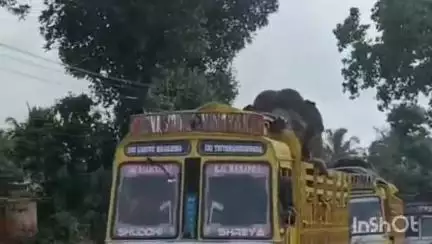 ಶಿವಮೊಗ್ಗ: ಶಿವಮೊಗ್ಗ-ಉಡುಪಿ ಜಿಲ್ಲೆಯ ನಿದ್ದೆಗೆಡಿಸಿದ್ದ ಕಾಡಾನೆ ಸೆರೆಗೆ ಸಕ್ರೆಬೈಲ್ ಆನೆಗಳು ಶಿಫ್ಟ್