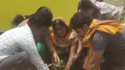 बागबाहरा: विश्व पर्यावरण दिवस के अवसर पर आवराडाबरी में पंचायत प्रतिनिधियों ने छायादार और फलदार वृक्ष का किया रोपण
