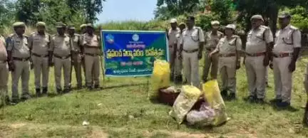 అశ్వాపురం: పర్యావరణ పరిరక్షణ దినోత్సవం సందర్భంగా మొక్కలు నాటిన ఫారెస్ట్ అధికారులు