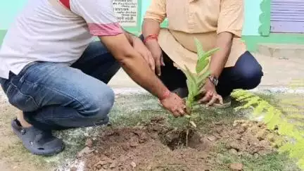 রানাঘাট ১: বিশ্ব পরিবেশ দিবসে পাহেলগাঁও তে নিহত 26 জন ভারতীয়রা স্মৃতির উদ্দেশ্যে বৃক্ষ রোপন রানাঘাট ৮ নম্বর ওয়ার্ডের বাসিন্দাদের
