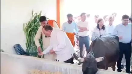 शिकोहाबाद: मक्खनपुर की कान्हा गौशाला का निरीक्षण प्रमुख सचिव अमित कुमार घोष, पशुधन, दुग्ध एवं मत्स्य विभाग ने किया