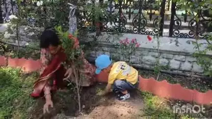 चम्बा: डीसी ऑफिस में नौनिहालों ने एक पेड़ मां के नाम मुहिम के अंतर्गत किया पौधारोपण