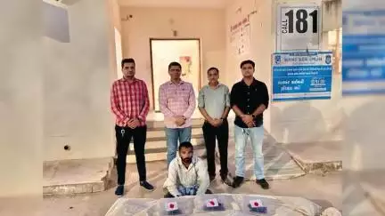 સતલાસણા: S.O.G. મહેસાણાએ કેસરપુરા હડોલ રોડ પર ખેતરમાંથી 20 કિલો ગાંજાના 6 છોડ પકડી પાડ્યા