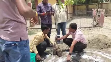 महमूदाबाद: रामपुर मथुरा ब्लॉक परिसर में विश्व पर्यावरण दिवस पर किया गया पौधारोपण