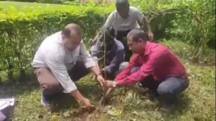 নাজিৰা: ঐতিহাসিক গড়গাঁৱৰ কাৰেংঘৰ প্ৰাংগণত পৰিৱেশ সুৰক্ষা সমিতিৰ নাজিৰা মহকুমা সমিতিৰ উদ্যোগত বিশ্ব পৰিৱেশ দিৱস উদযাপন