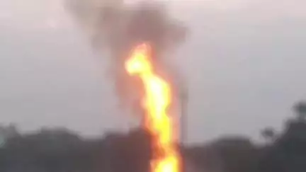 पट्टी: दूलापुर गांव के बांस की कोठी में लगाई आग, आसपास के फलदार पौधे भी जलकर हुए राख