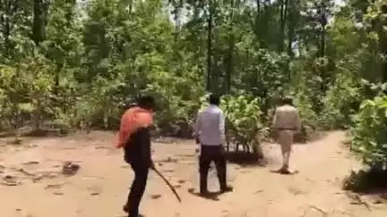 बलरामपुर: बलरामपुर के डीएफओ ने जंगलों में अवैध शिकार रोकने के लिए एन्टी स्नेयर वाक टीम का किया गठन