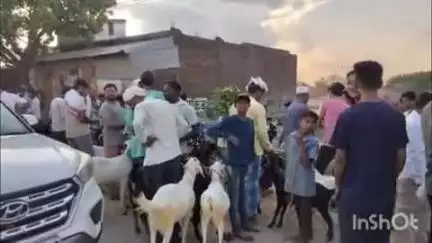 उतरौला: बकरा ईद करीब आने से बकरों की मांग बढ़ी, मुस्लिम समुदाय के लोगों ने तैयारी शुरू की