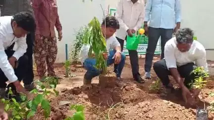 పెద్దపల్లి: మున్సిపల్ కార్యాలయ ఆవరణలో మొక్కలు నాటిన కమిషనర్ సిబ్బంది