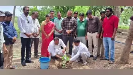 તળાજા: નગરપાલિકા દ્વારા વિશ્વ પર્યાવરણ દિવસની ઉજવણી કરવામાં આવી