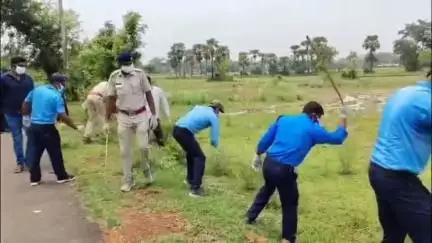 ময়ূরেশ্বর ২: পার্থেনিয়াম নিধন ও বৃক্ষরোপণ কর্মসূচি করে ময়ূরেশ্বর থানা ও পঞ্চায়েতের উদ্যোগে বিশ্ব পরিবেশ দিবস পালন