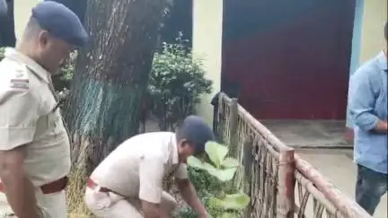 সীতাই: সিতাই থানায় বিশ্ব পরিবেশ দিবসে হল বৃক্ষরোপণ কর্মসূচি