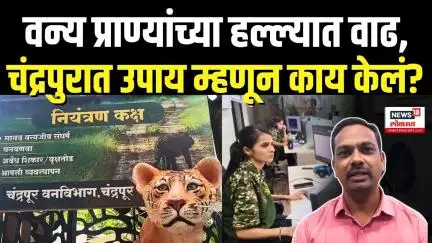 Chandrapur Breaking: वन्य प्राण्यांचा हल्ला रोखण्यासाठी चंद्रपुरात नियंत्रण कक्ष! बघाच...