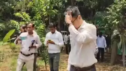 देवघर: समाहरणालय परिसर में विश्व पर्यावरण दिवस के अवसर पर उपायुक्त ने वृक्षारोपण किया