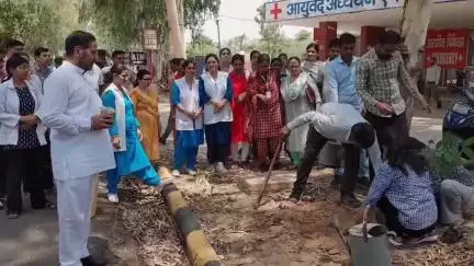 थानेसर: कुरुक्षेत्र में श्रीकृष्ण आयुष विश्वविद्यालय के डॉक्टरों और छात्रों ने किया पौधारोपण, प्लास्टिक मुक्त भारत का दिया संदेश