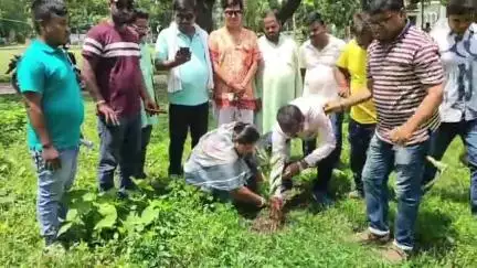 তপন: বিশ্ব পরিবেশ দিবস উপলক্ষে বৃক্ষরোপণের মাধ্যমে সচেতনতার বার্তা ছড়াল তপন পঞ্চায়েত সমিতি