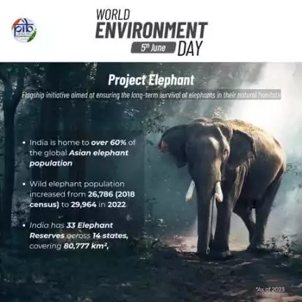 🐘 প্রোজেক্ত ইলিফেন্ত: শামুশিং মখোয়গী মহৌশাগী লৈফমদা মতম শাংনা হিংদুনা লৈহন্নবা পান্দম থম্লিবা ফ্লেগসিপ ইনিসিএতিব