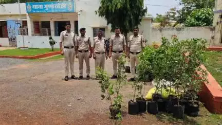 गुण्डरदेही: विश्व पर्यावरण दिवस पर गुण्डरदेही पुलिस ने थाना परिसर में किया पौधारोपण, पर्यावरण बचाने के लिए लोगों से की अपील