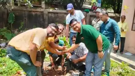 उधवा: विश्व पर्यावरण दिवस पर उधवा प्रखंड के सभी पंचायत सचिवालयों में हुआ वृक्षारोपण