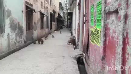 धौलाना: मोहल्ला कृष्णगंज में बंदरो के आतंक से स्थानीय लोग परेशान, नगर पालिका से बंदरों को पकड़ने की मांग
#jansamasya