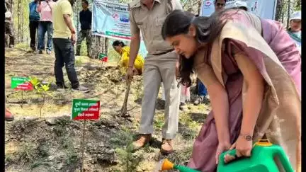 टिहरी: विश्व पर्यावरण दिवस पर 'एंडिंग प्लास्टिक पॉल्यूशन' की थीम पर वन विभाग ने भोनाबागी में पौधारोपण कार्यक्रम का आयोजन किया
