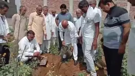 लोहारू: विश्व पर्यावरण दिवस पर लोहारू में पौधारोपण कर राज्यसभा सांसद किरण चौधरी ने मनाया जन्मदिन