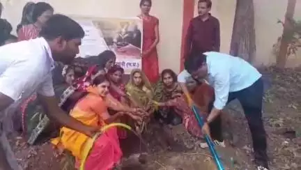 बड़वानी: विश्व पर्यावरण दिवस पर अंजड़ नगर परिषद ने गुरु नानक शासकीय उद्यान में किया पौधारोपण