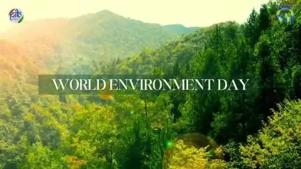 🌍 হন্দক্কী মালেমগী এনভায়রনমেন্ত নুমিত্তা ভারতনা পুনশিল্লি! 🌿

ৱন নেসন, ৱন মিসন: এন্দ প্লাস্তিক পোলুসন