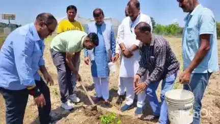 भोटा: विश्व पर्यावरण दिवस के मौके पर बैरी में 'मां के नाम' अभियान के अंतर्गत पूर्व विधायक राजेंद्र राणा ने किया पौधारोपण