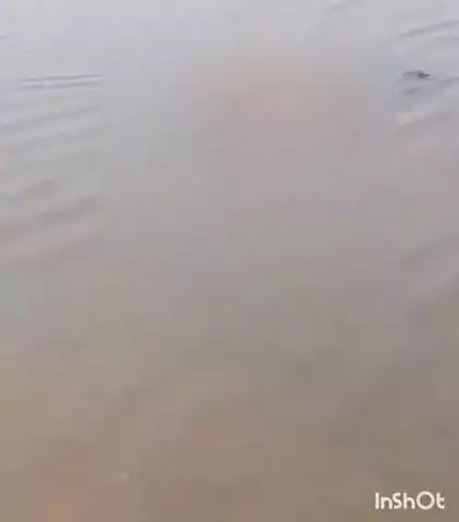 अजीतमल: अयाना थाना क्षेत्र के अंतर्गत यमुना नदी में डूबकर युवक की हुई मौत, परिजनों में मचा कोहराम, कुठोन्द क्षेत्र के सिलउवा का