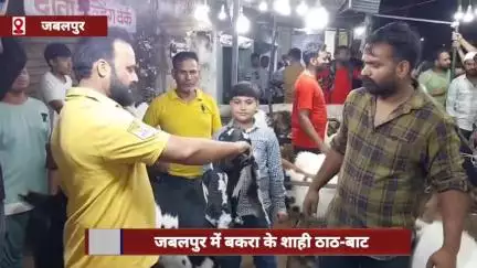 जबलपुर में बकरे के शाही ठाठ! पानी नहीं, 'कोल्ड ड्रिंक' से बुझाता है प्यास